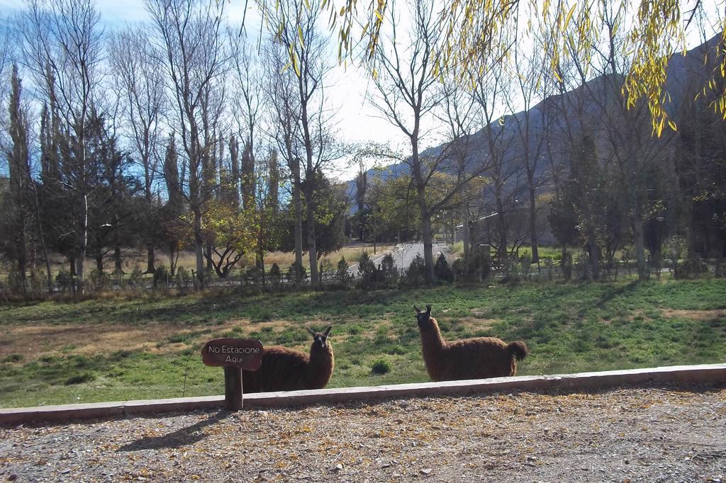 Posada Inti Tanpu ティルカラ エクステリア 写真